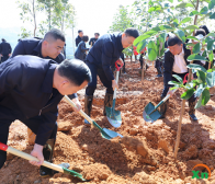 梅州、兴宁两级领导参加植树活动
